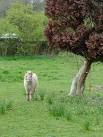Hill, Worcestershire - via Daymix