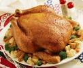 PERDUE   Recipes   Chicken Recipes Turkey Recipes Tips and More