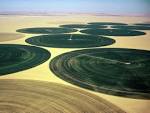 Irrigation Kufra Growing Sahara Africa Wallpapers | 1024x768
