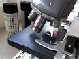 Histology - Wikipedia, the free encyclopedia