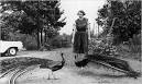 Southern gothic Pictures, Southern gothic Image, others Photo Gallery