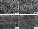 Chitosan bicomponent nanofibers and nanoporous fibers 101016j