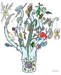 PreAP Biology