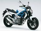 Suzuki Gladius 650