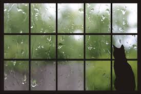 IMAGE(http://t2.gstatic.com/images?q=tbn:ANd9GcQxOCuoHUesKustJKhjjV-kPoaJRS9U1wnChQijvehBNytf8Dr-)
