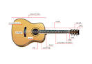 ARTS & ARCHITECTURE :: MUSIC :: STRINGED INSTRUMENTS :: ACOUSTIC ...