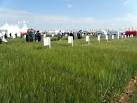 The host site for the 2011 event was the former site of RAF Coleby, - via Daymix