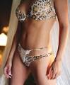Swingers Report: adult date link Article