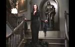 Addams Family Reunion - The New Addams Family Image (6241282) - Fanpop