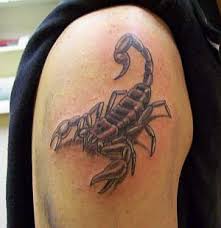 images?qtbnANd9GcQxzARRq zxg6pWOqljCRuTW sjcr0XuZAMzmNYC8bqiVoc5V5e7g