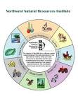 NNRI - Northwest Natural Resources Institute