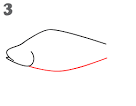 How To Draw a Fish