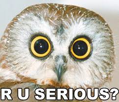 images?q=tbn:ANd9GcQyBLr472JEKl5o-tBh_EKQb5Z17Se6PeHDCfH2BeeFyWleYSGh