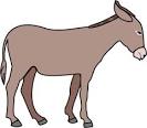 Donkey coloring page