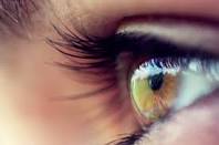 Human Eye and Digital Camera