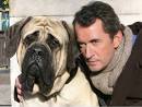 TF1 International