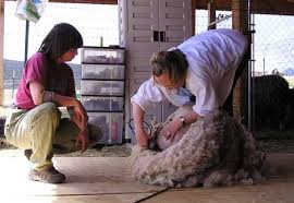 Susan Shearing - jackiesusan-shearing