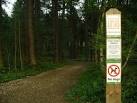 Robin Hood's Hideout - via Daymix