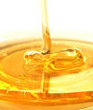 honey nature