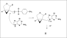 Exercices de chimie organique corrigés : synthèses et stéréochimie ...