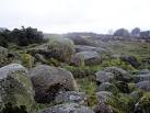It probably marks the site of - via Daymix