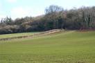 near to Portbury, North Somerset, Great Britain. Prior's Wood - via Daymix