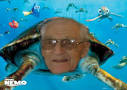 Picasa Web Albums - Abraham Kalili