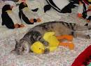 Best Sleeping Positions Weirdomatic