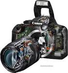 CS 178 - Digital Photography