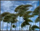 Which way is the wind blowing?, a photo from Lisboa, South | TrekEarth