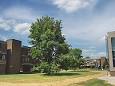 288px-Churchill_College_ ...