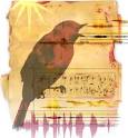 Rowena Dugdale Illustration ::::::::::