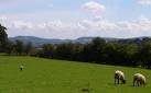 SO6766 : Sheep Pasture, Church - via Daymix