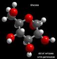 Glucose and metabolism