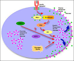 images?q=tbn:ANd9GcR0-Zh9zjQUTLErEi-Osnb7lQAA3g4J1RfxEv8hOwz1SPEac-t3PQ