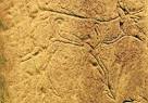 New Language Dating Back to Iron Age Discovered in Scotland