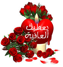 أنا أنثى مغروره ....  Images?q=tbn:ANd9GcR02sFdm70ysL8BraRw79f7_Avdh0YpvZqGg6KfvuK4nf5wOnoZxZsNa_Zqwg