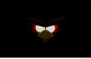 Angry Birds heads for outer space   Feb 17 2012