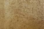Textured Walls High Quality Paint And Durable Special | Home Design