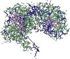 The Protein Image Gallery at PlaCe
