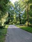 Minor road through woodland near Castle Malwood, New Forest - via Daymix