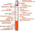 kimia :: kimia- pada -rokok picture by kancilantigaptek - Photobucket