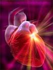 Program in Cardiovascular Epidemiology - Harvard School of Public ...