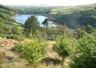 near to Injebreck, Isle of Man - via Daymix