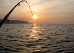 World Fishing - Manual to assess impacts of Caribbean fishing
