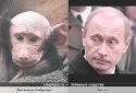 Александр Гаврилов