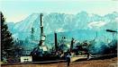 Ecoterrorism - environmental, history, human, use, life, health ...