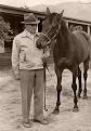 Seabiscuit - Wikipedia