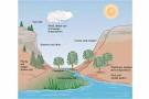 Dolores Gende: Environmental Science, Chapter 2