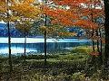 Temperate Deciduous Forest : Mission: Biomes